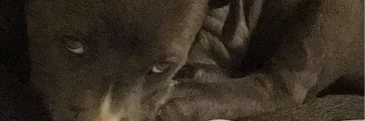 MaryV_21's profile banner image