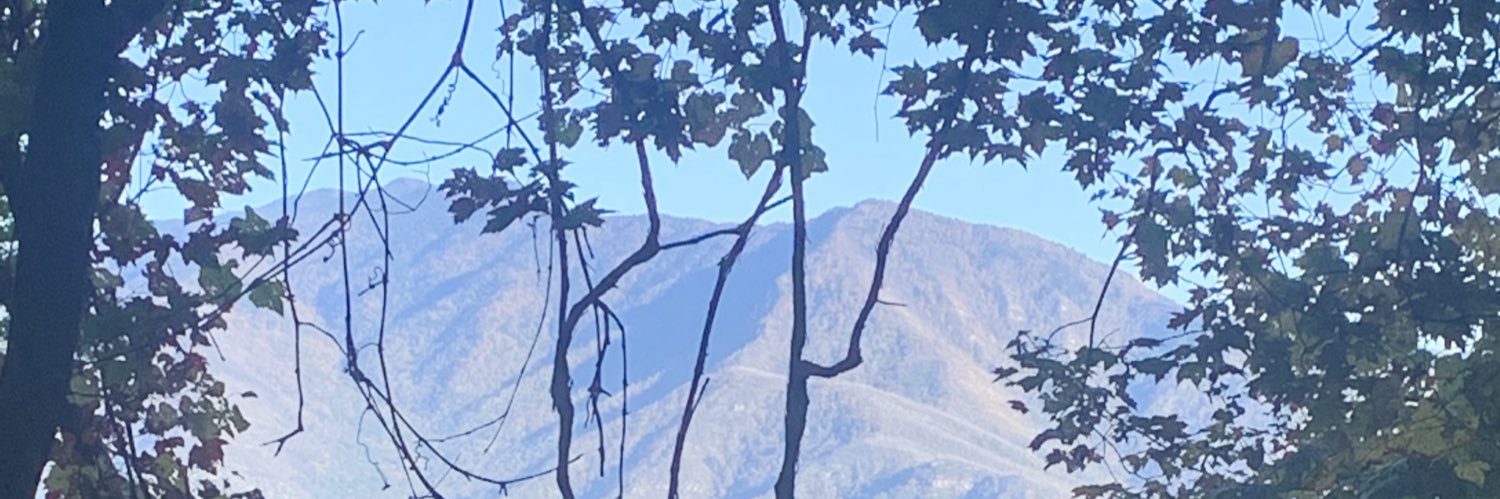 AmNotDiego's profile banner image