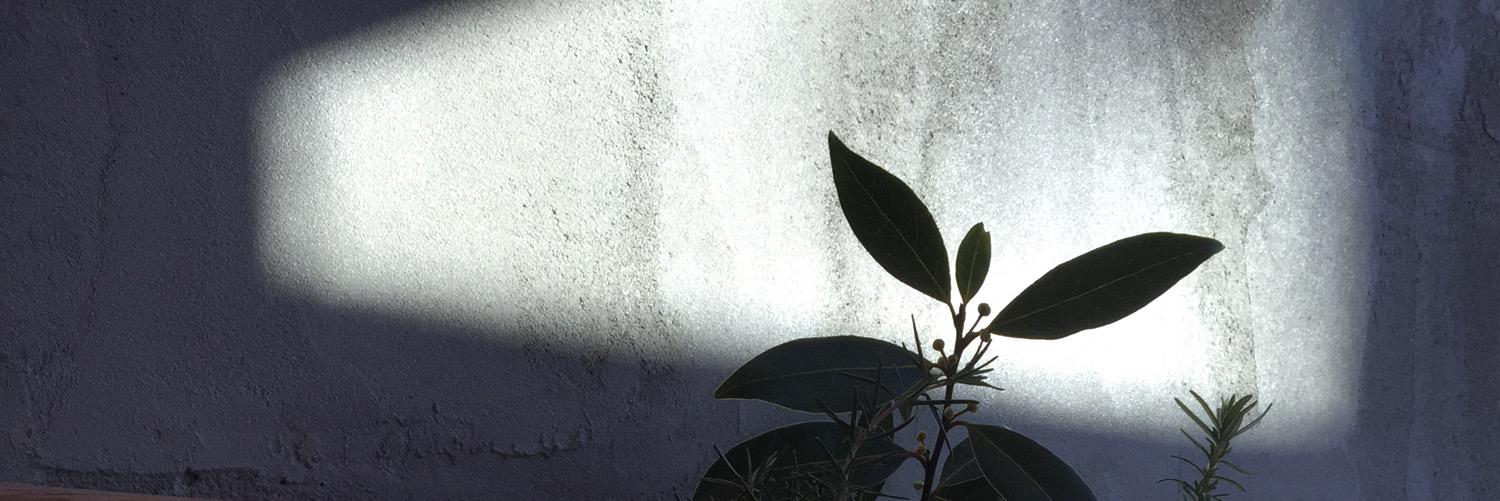 PatJWilliamson's profile banner image