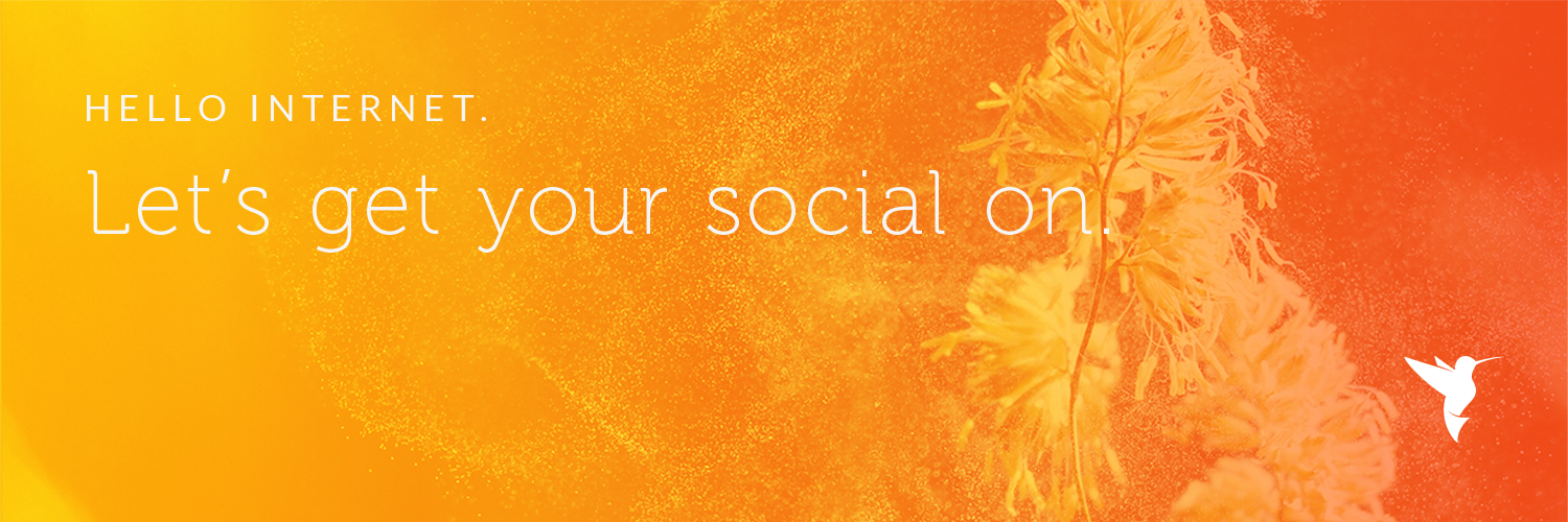 PollinateSocial's profile banner image