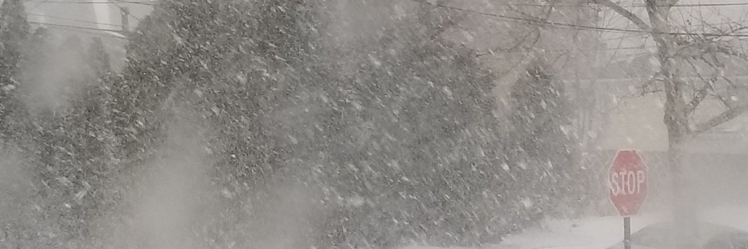 maria gannon banner