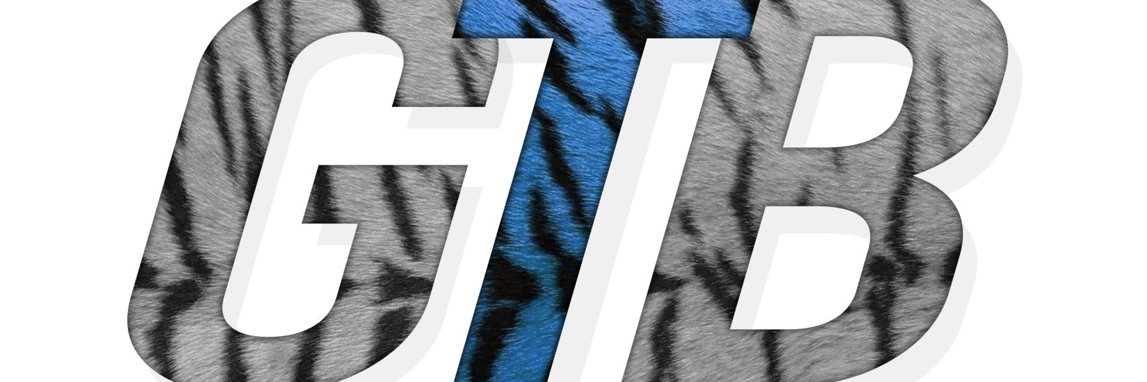 Gunter Tiger Band banner