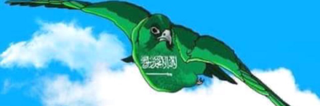 ابو سلطان MS🇸🇦🇸🇦🇸🇦 banner