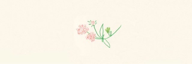 MarysaFlorio's profile banner image