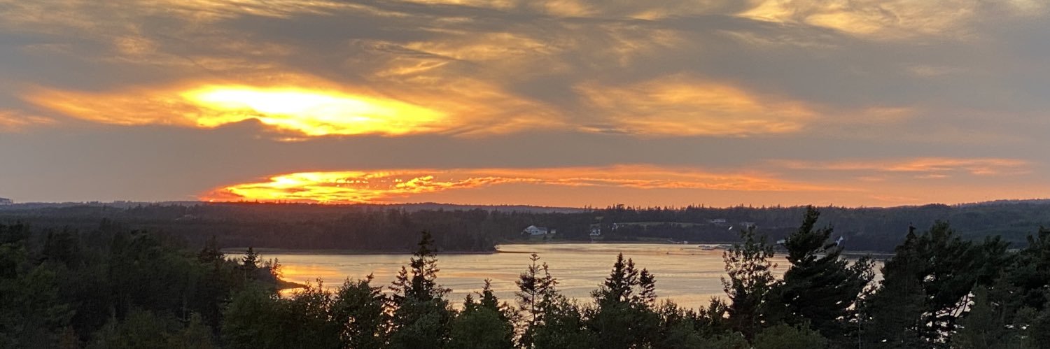 m_nelson66's profile banner image