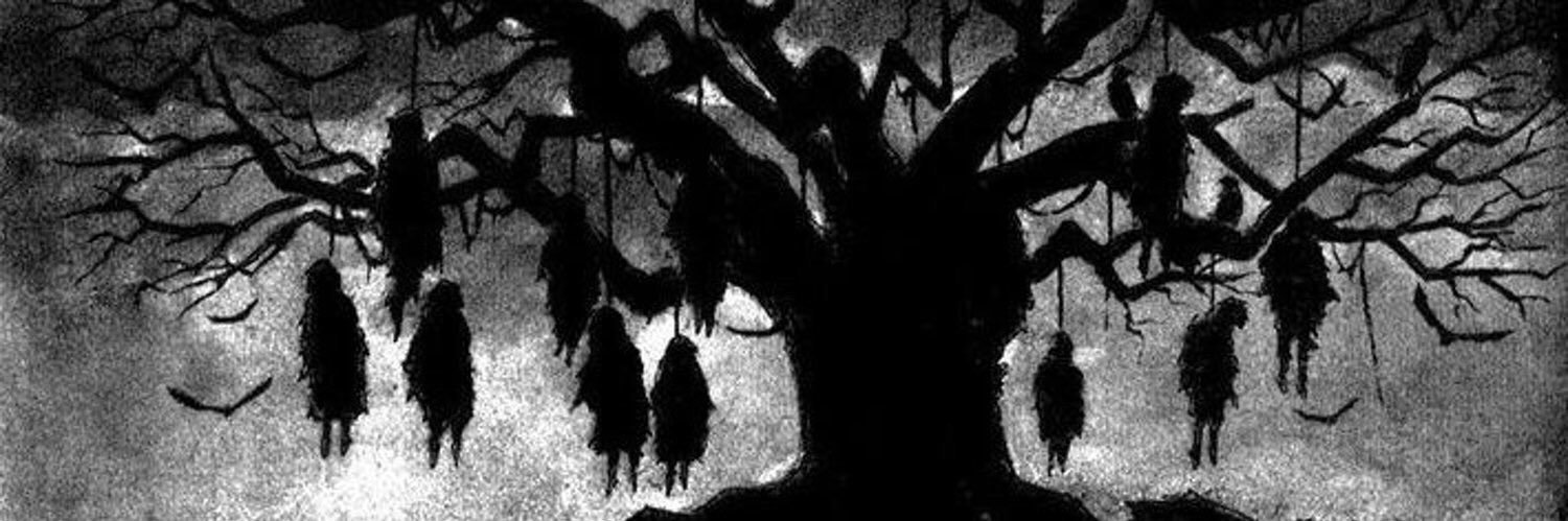 Gin_q8's profile banner image