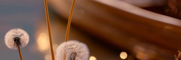 Chris39L Profile Banner