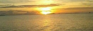 veronicaegc's profile banner image