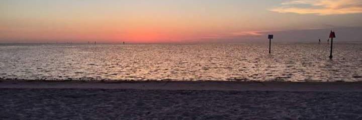 Anthony_Balog's profile banner image