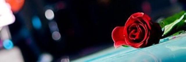 shmmali17's profile banner image
