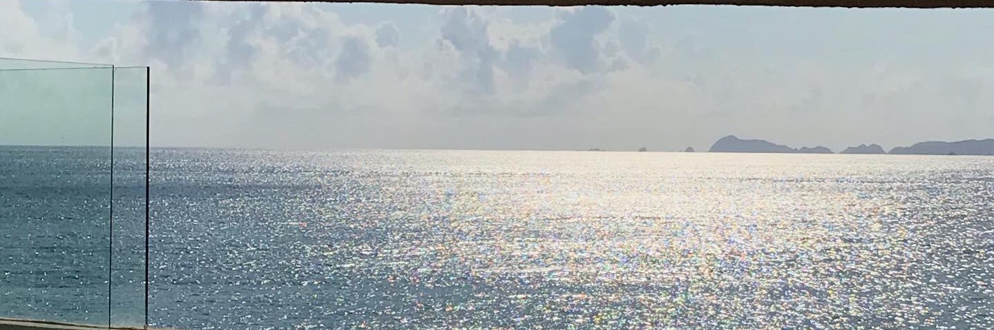 sofiacham's profile banner image