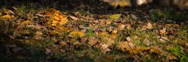 aura_delgado's profile banner image