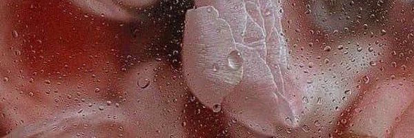 imlupe_ Profile Banner