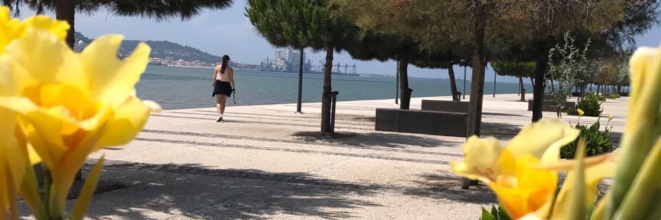 stephiesousa's profile banner image