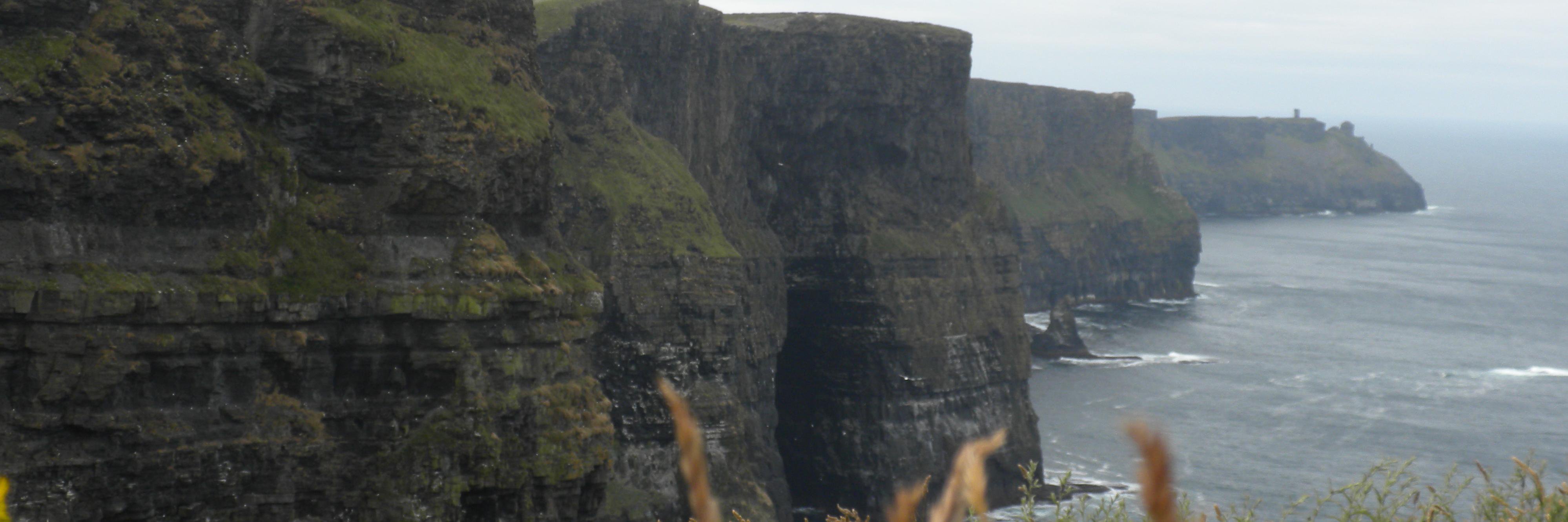 Laura Raymond banner