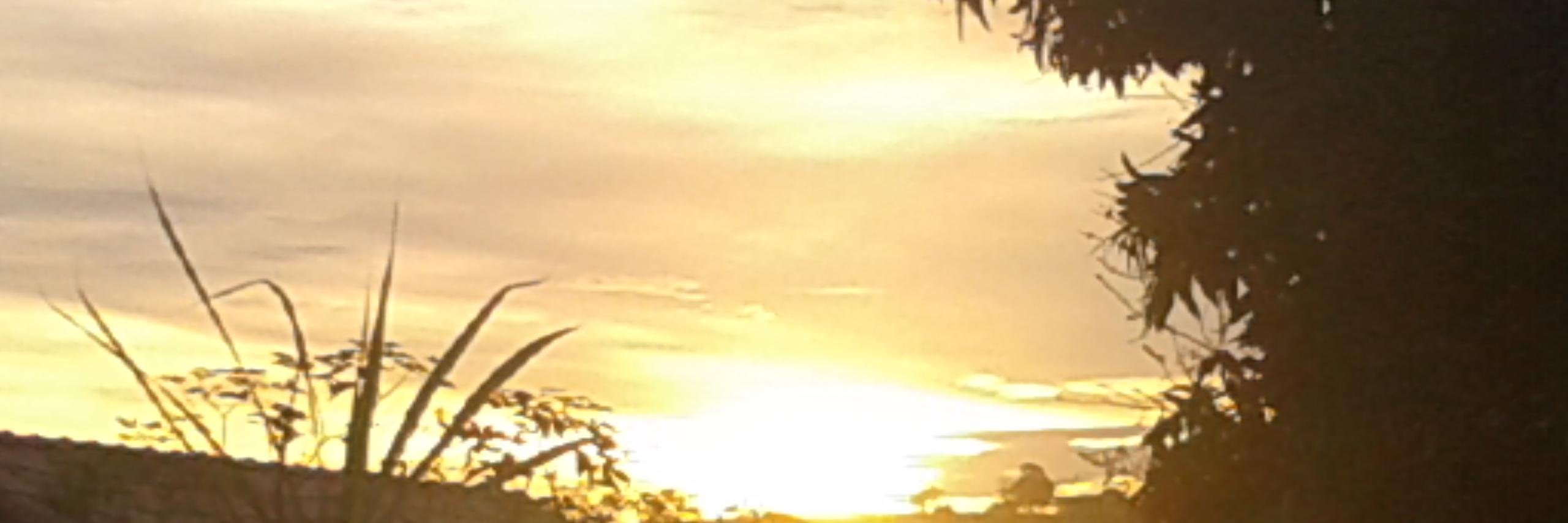 liuesteves's profile banner image