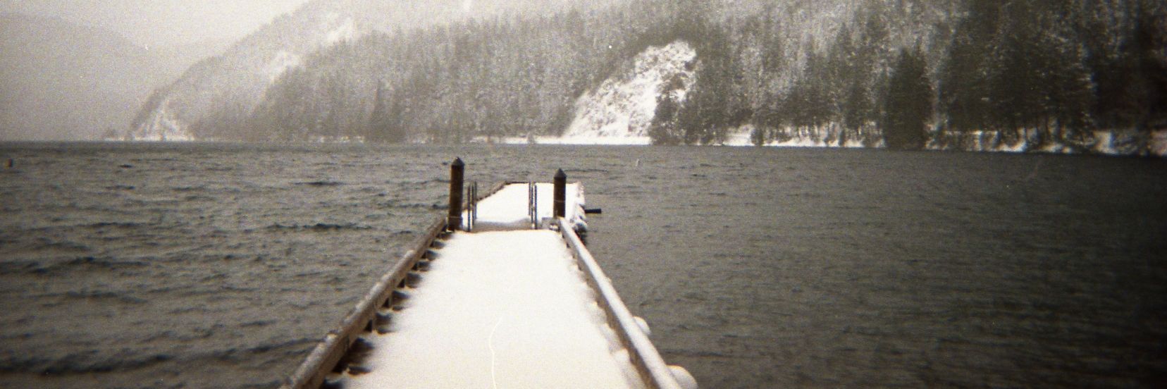 siowaiji 🇵🇸 banner