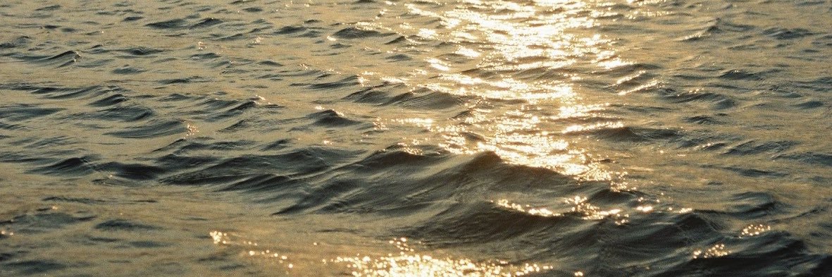 yokptsr's profile banner image