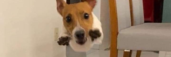 puuriyet's profile banner image