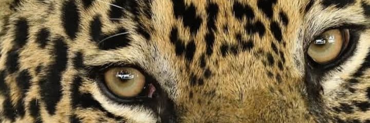 joseluiscomuna's profile banner image