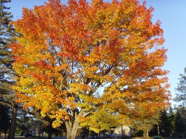 Nsikak Benson, PhD banner