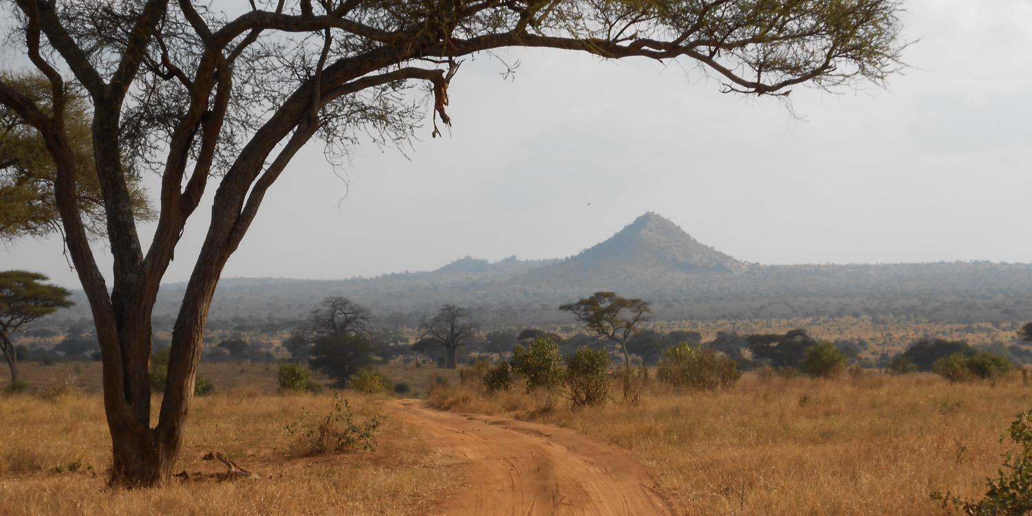Marion Engelschman banner