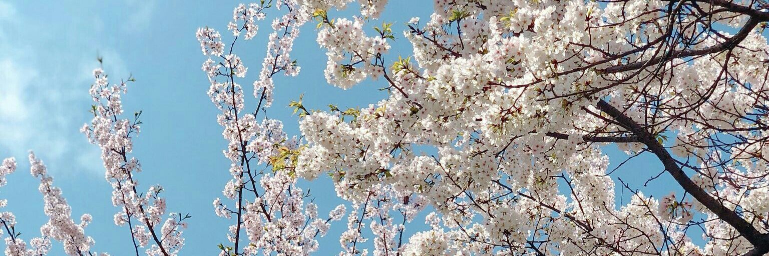YooRi_L's profile banner image