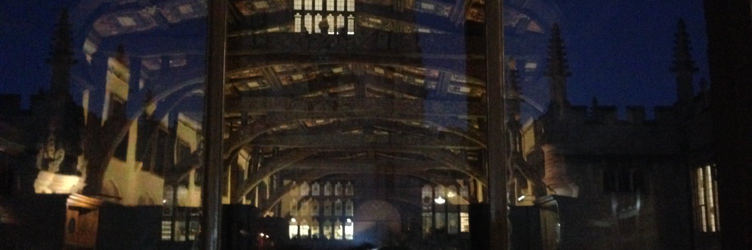 Eylem Aslan-Levelt banner