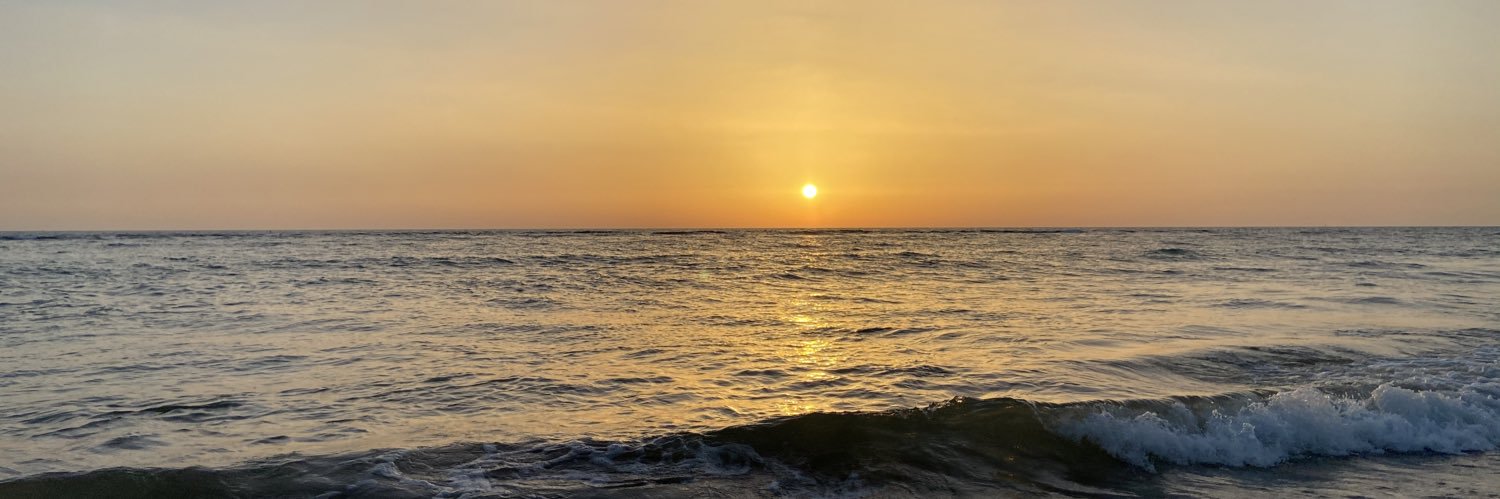 rosavs18's profile banner image