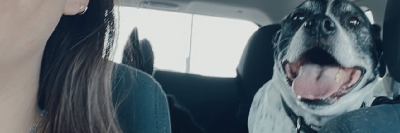 Rosmary Medrano banner