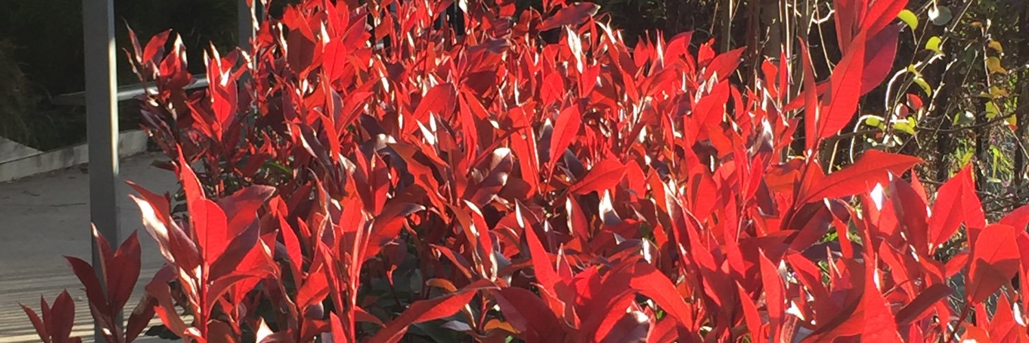 OlorWaitara's profile banner image
