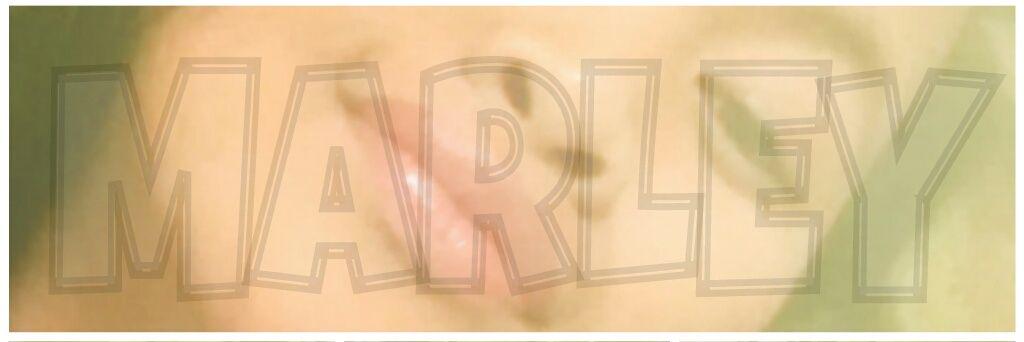 MarleyyStephen's profile banner image