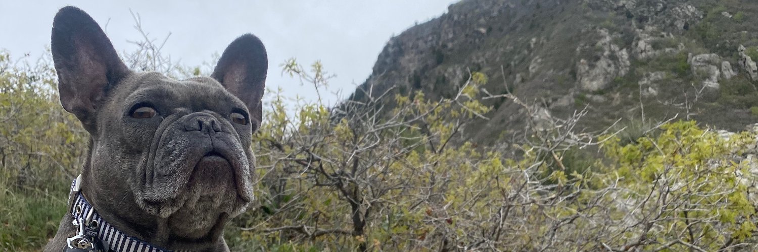 Parker Rogers banner