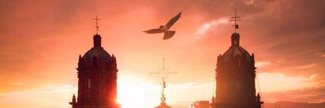 Hilikam's profile banner image