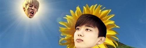 bapasvines's profile banner image