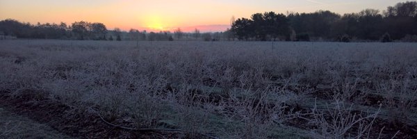 GillKoe Profile Banner