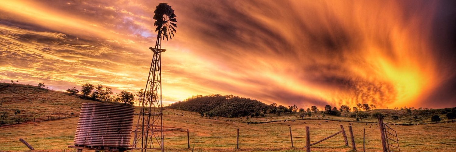 ashley nelson banner