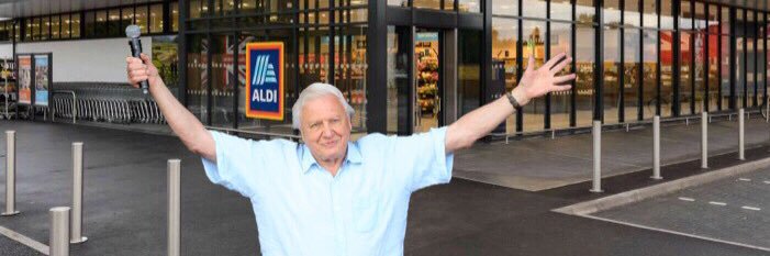 CatrinDabell's profile banner image