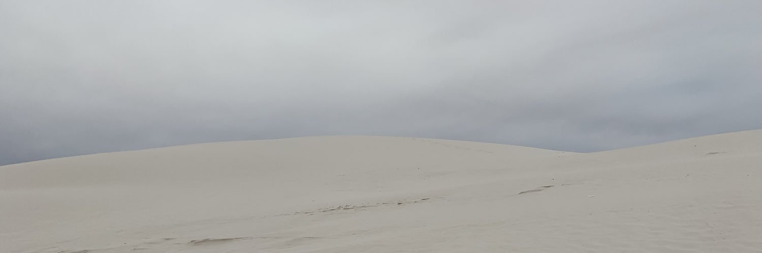 Adrian Voorhies banner