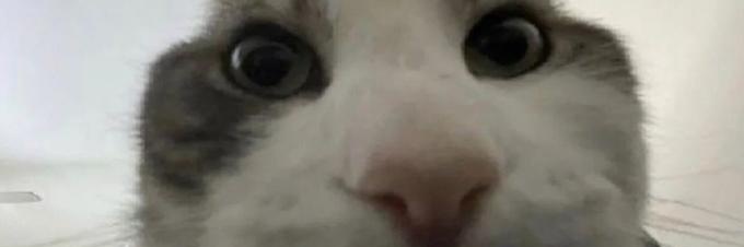 Spiker (🦋) banner