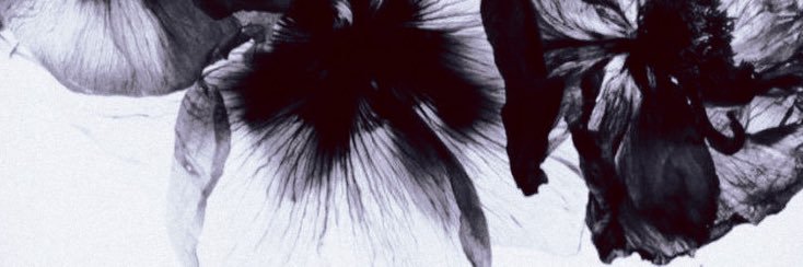 447I9's profile banner image