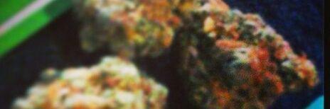 OC_Jefe's profile banner image