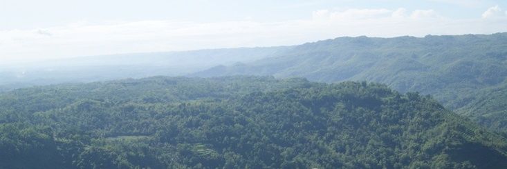 fachmi's profile banner image