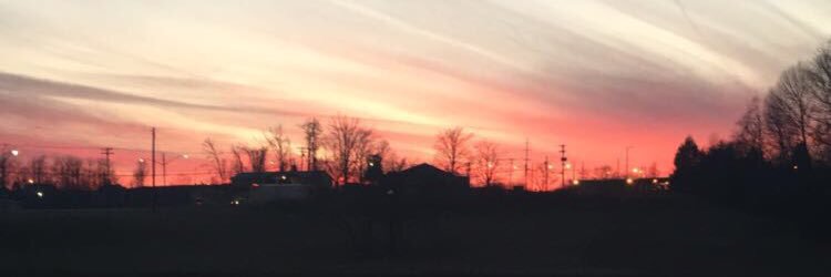 the_bryce_lynn's profile banner image