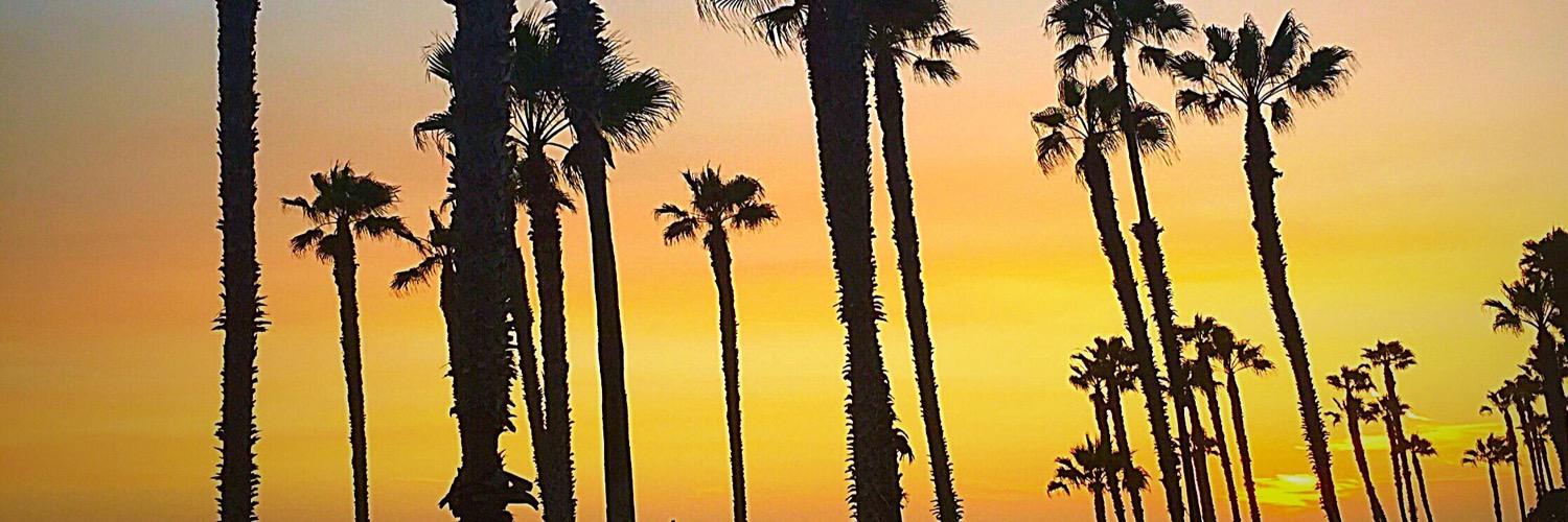 lexilou_7's profile banner image