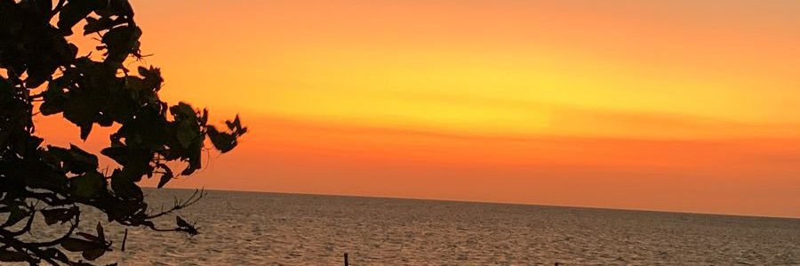 Citlali_022's profile banner image