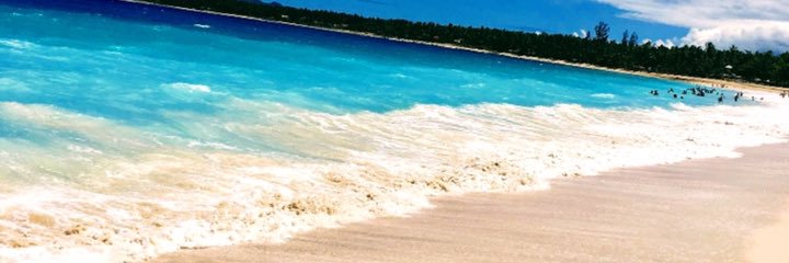 farahtookes's profile banner image