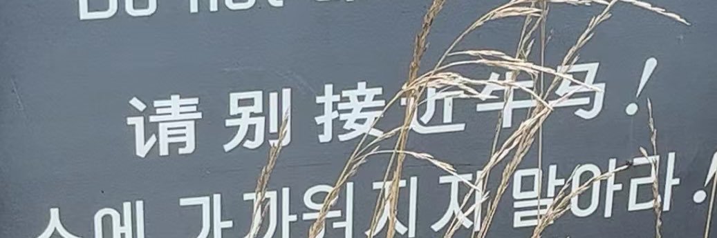 Suuz banner