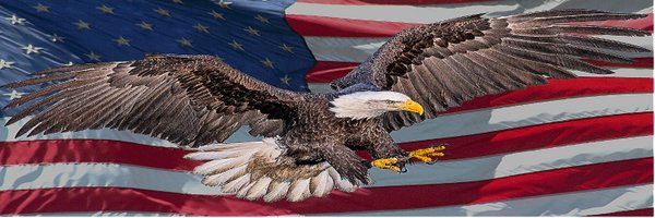 SHELLYJACOBS Profile Banner