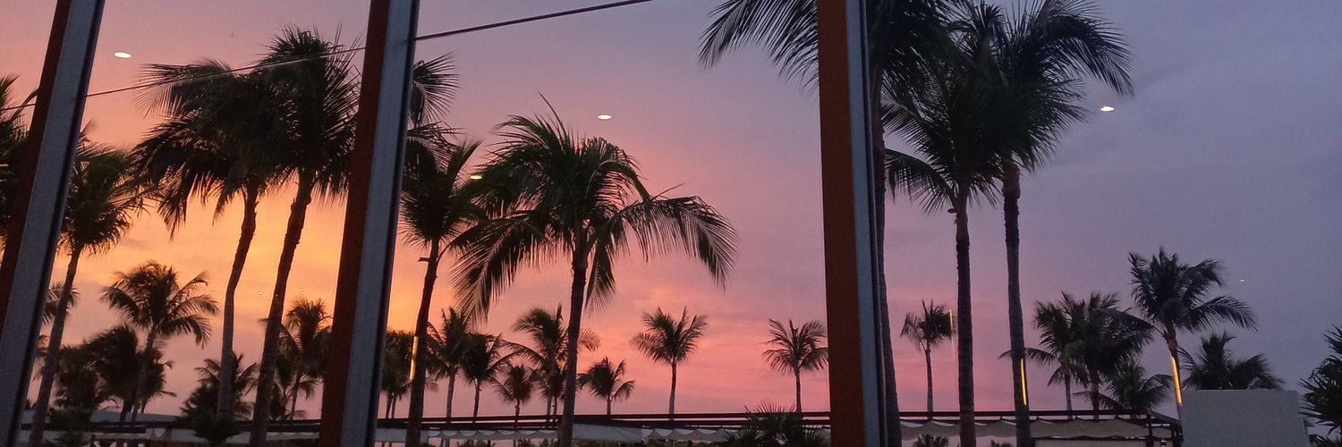 pristorres21's profile banner image